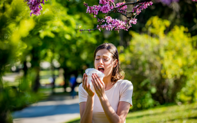 How Can a Chiropractor Help With Allergies?