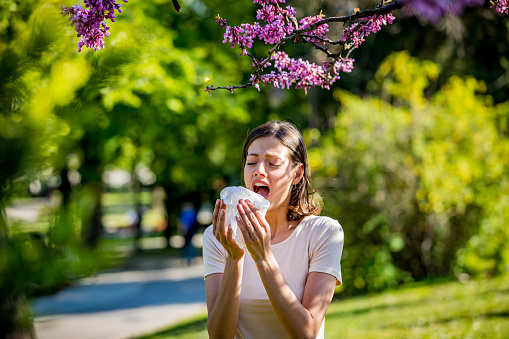 How Can a Chiropractor Help With Allergies?